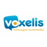 VOXELIS