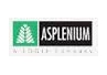 ASPlenium