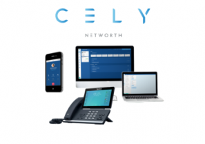 CENTREX - CELY - NETWORTH TELECOM