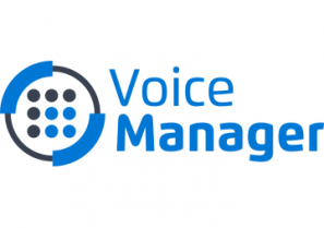 VoiceManager
