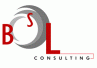 BSL CONSULTING