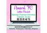 AMIRAL PC