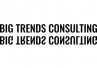 BIG TRENDS CONSULTING