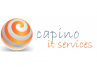 CAPINO SERVICES