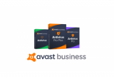 Avast Business Managed Antivirus 