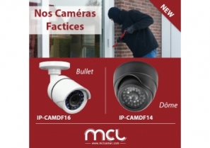 Caméras factices de vidéo-protection - MCL