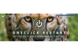 OneClick Restart - Atempo